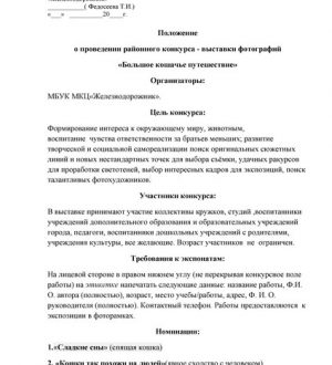 «Большое кошачье путешествие»