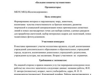 «Большое кошачье путешествие»