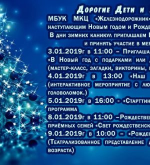 Программа на зимние каникулы