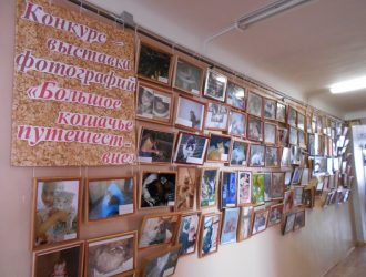 Большое кошачье путешествие