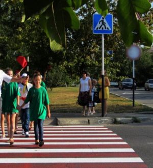 «Повышение безопасности дорожного движения Нижегородской области»