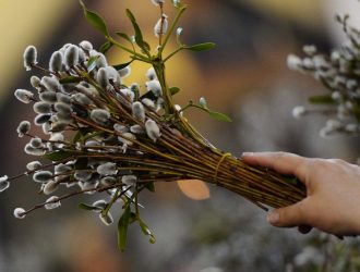 «Пасхальная вербочка»