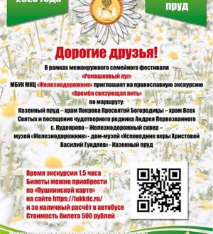 Ромашковый луг 2023