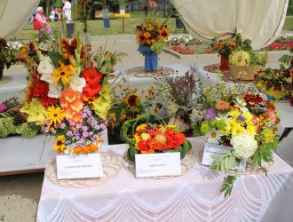 «Дыхание лета»