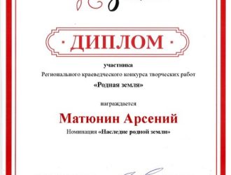 Родная Земля диплом участника