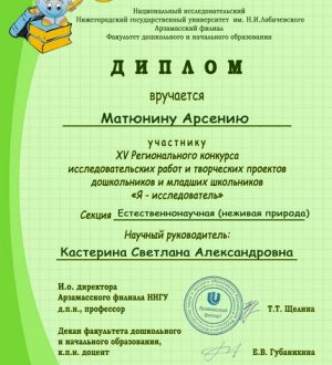 Я исследователь диплом