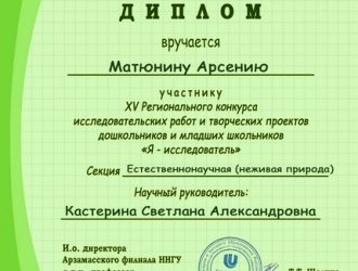 Я исследователь диплом