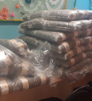 Благодарность АНО «Волонтёрский центр Нижегородской области»